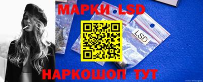гидра Новозыбков