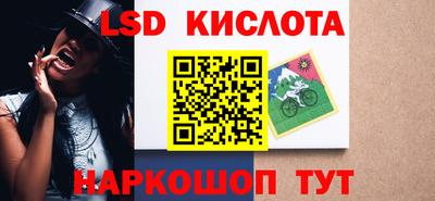mdpv Новодвинск