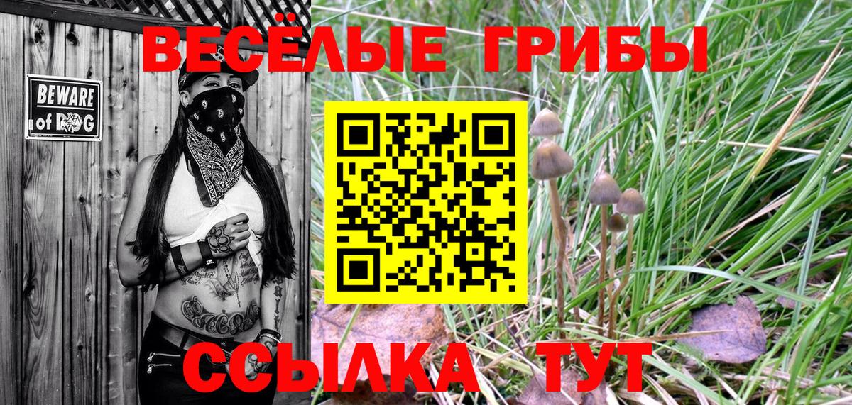 МЕТАДОН Славянск-на-Кубани