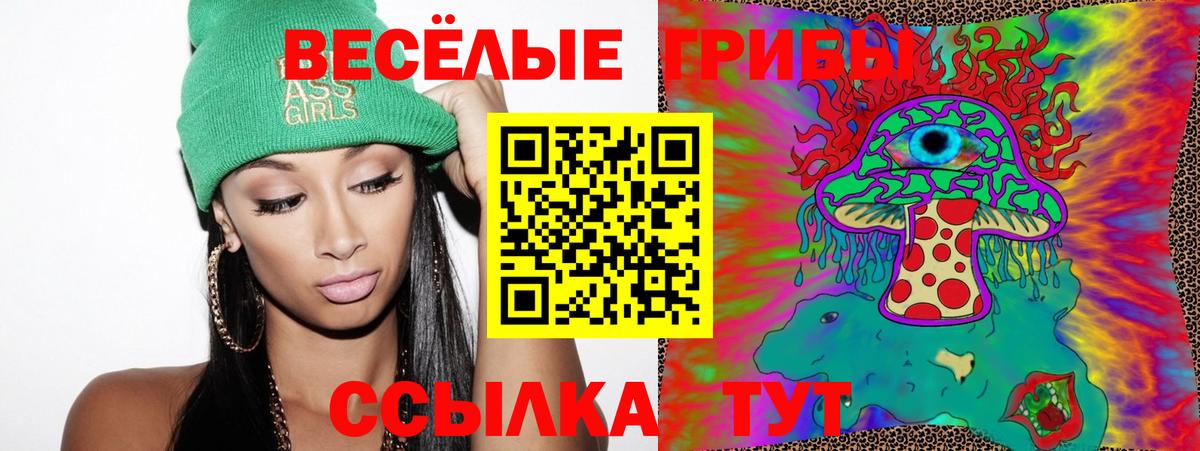 Псилоцибиновые грибы Psilocybe Славянск-на-Кубани