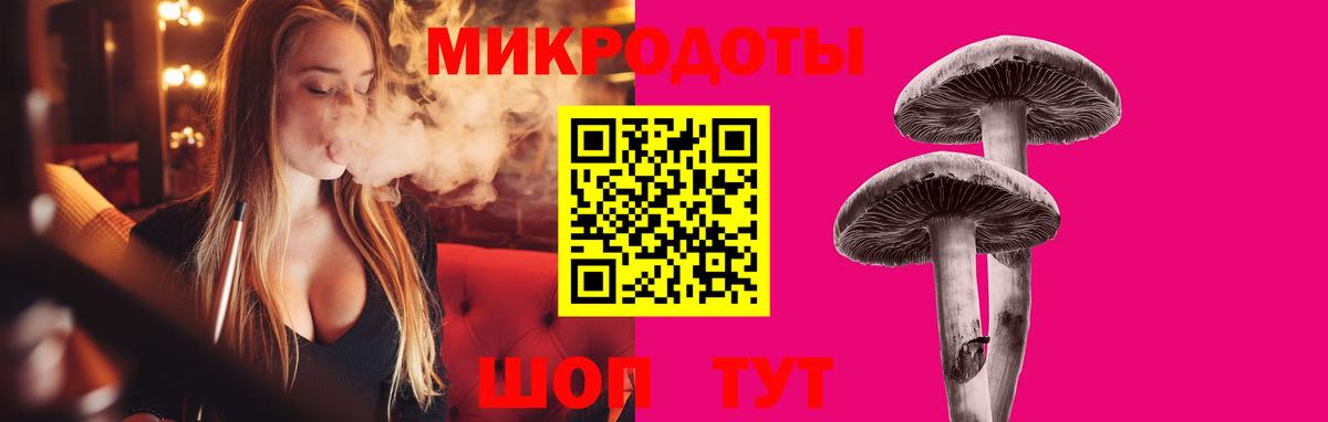 Славянск-на-Кубани  Галлюциногенные грибы GOLDEN TEACHER  даркнет сайт  Вход с VPN 
